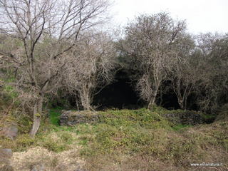 conco di Liricio-24-03-2013 10-20-22